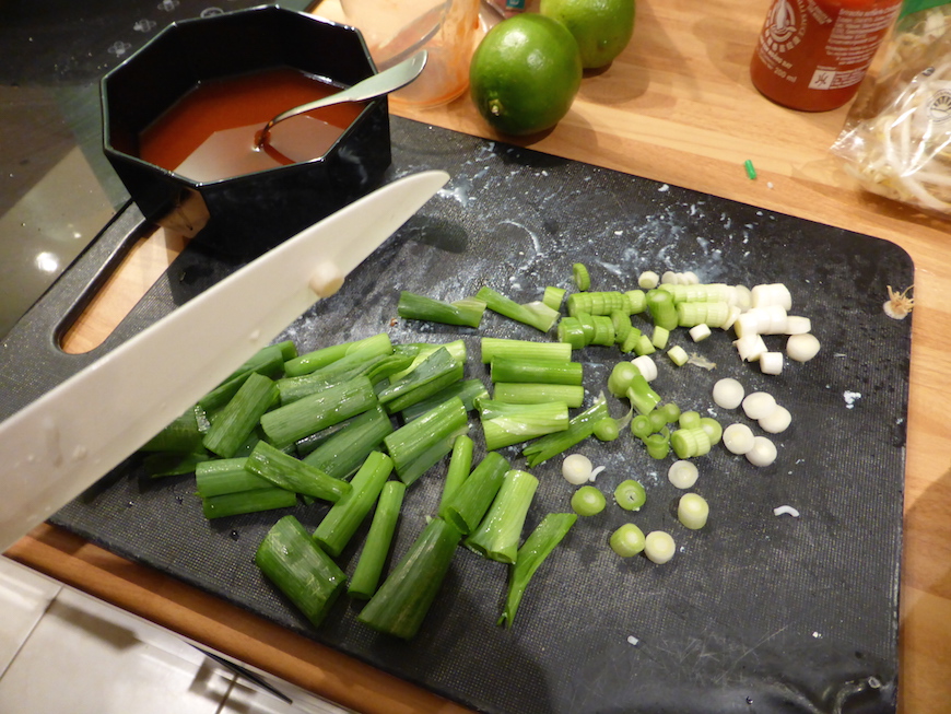 Chopping the spring onions